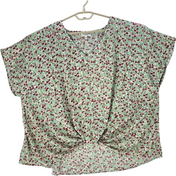 Bobeau Top Plus 2X Green Pink Floral Twist Front Cottage Fairy Short Sleeves - Picture 1 of 7